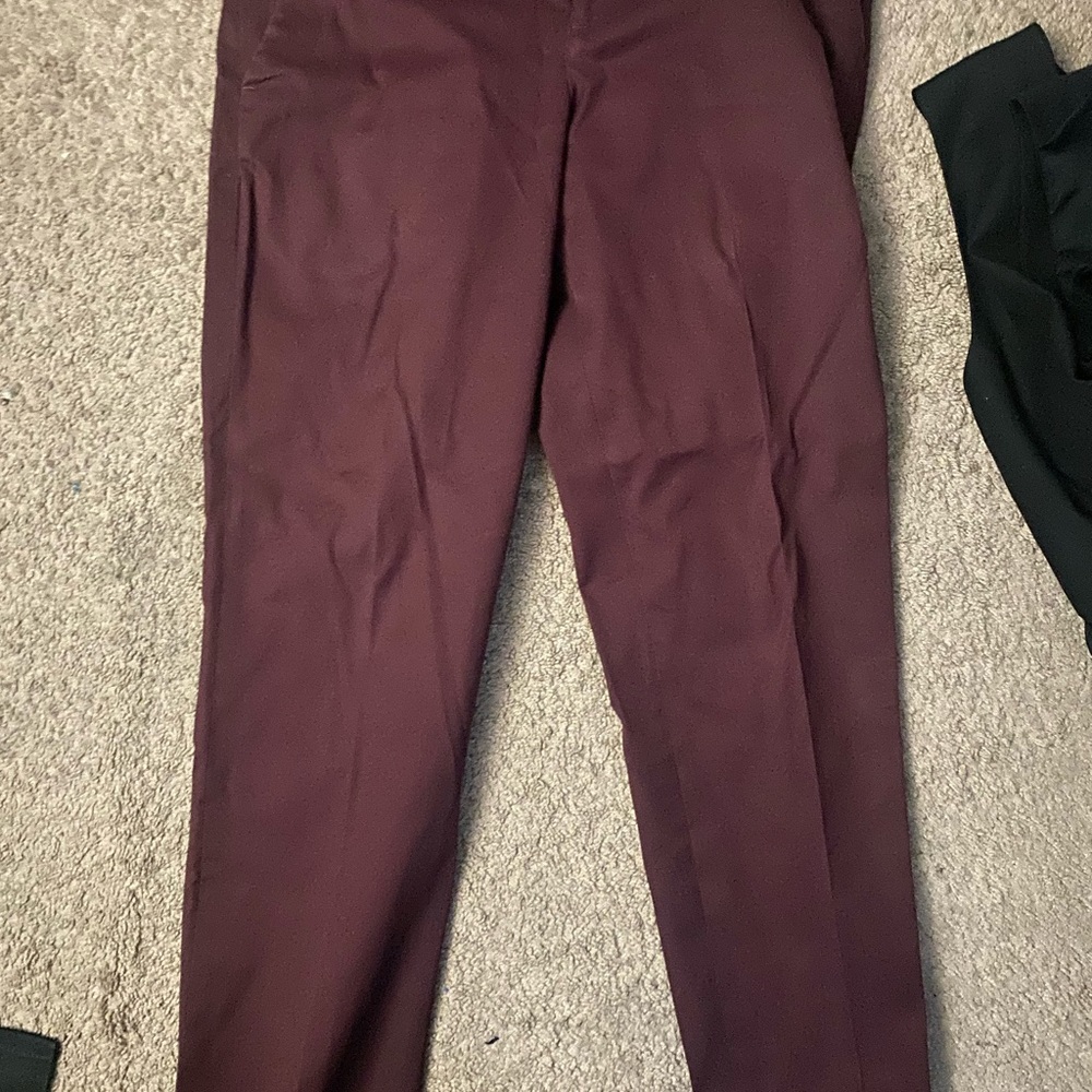 Express Photographer’s Pants